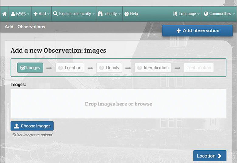 Adding an observation on iSpot on website