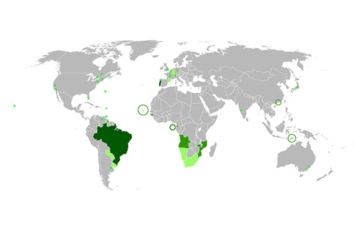 A map of the world identifying Portuguese speaking countries.