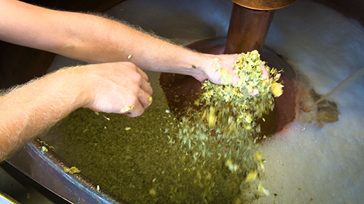 This is a photograph showing someone adding hops during the boiling process.