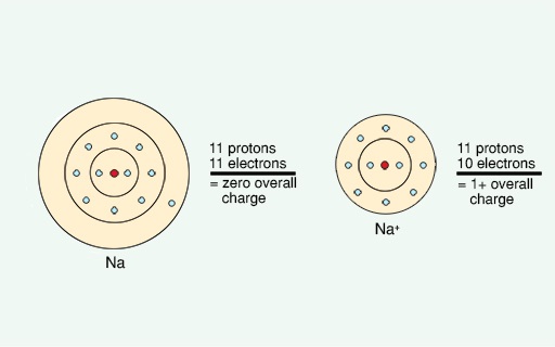 An illustration of the formation of a positively-charged sodium ion.