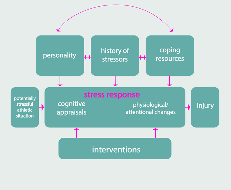 The Stress and Injury model