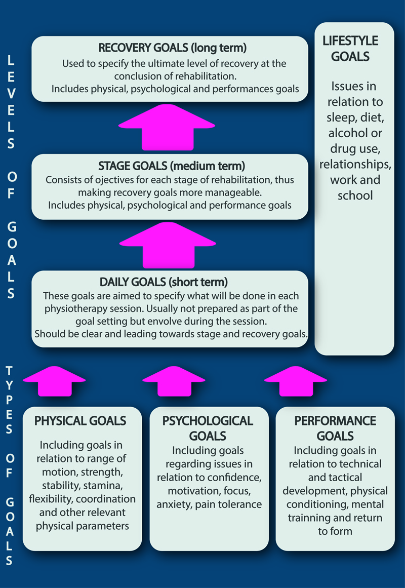 Types of goal for sport injury rehabilitation.