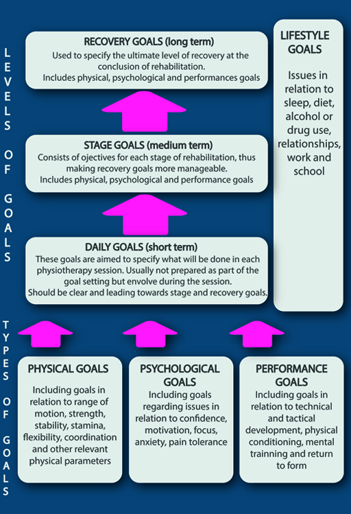 Types of goal for sport injury rehabilitation.