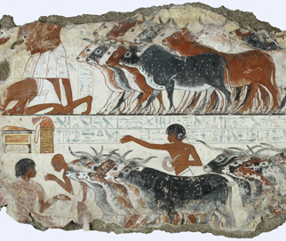 Part of ‘Viewing the Produce of the Estates’ (EA 37976)