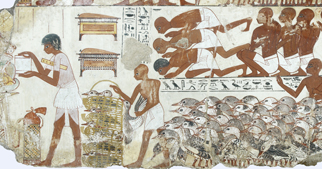 Part of one fragment of ‘Viewing the Produce of the Estates’ (EA 37978)