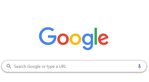 The Google search box.