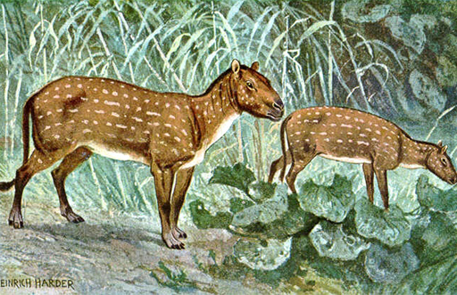 An artist's impression of a pair of Eohippuses.