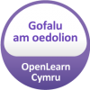 Gofalu am oedolion
