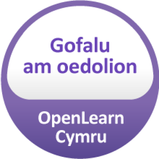 Gofalu am oedolion