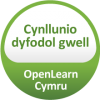 Cynllunio dyfodol gwell