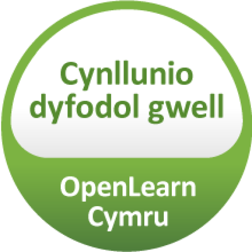 Cynllunio dyfodol gwell