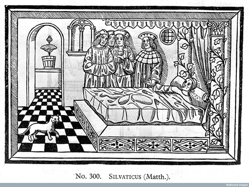 Woodcut showing a doctor standing by the bed of a patient and taking his pulse while also studying a phial of his urine.