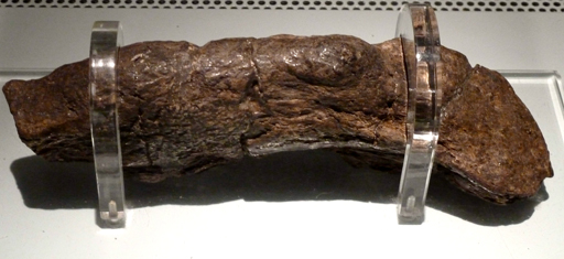 A preserved piece of human faeces known as a coprolite.