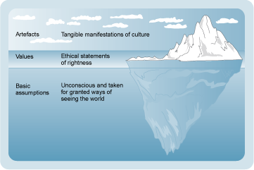 schein model organizational culture