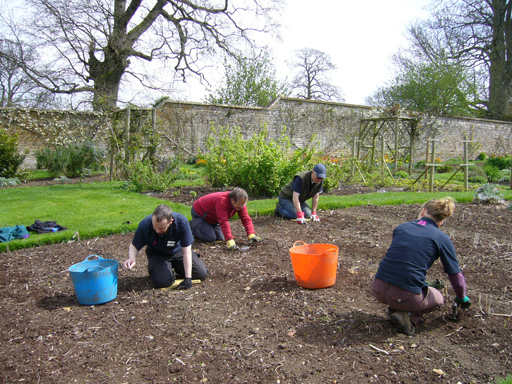 Men and women volunteers working in a garden