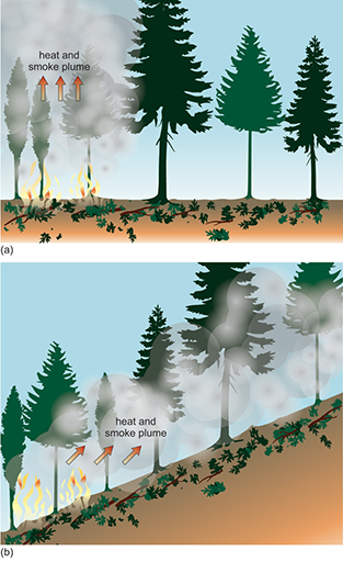 The figure shows two diagrams. Diagram (a) shows a line of six trees on a flat substrate. The front-most tree is engulfed in fire and the flame and heat plume is directed upward at 90° to the substrate. Diagram (b) shows the same line of trees but this time located on the slope of a hill. The flame and heat plume travels up the slope at 45° to the substrate.