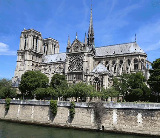 This is a colour photograph of Notre-Dame Cathedral, taken from the river to the south. Prominently visible in the centre of the photograph are the spire of the church and the large stained-glass rose window. The sky is bright blue and there are several green leafy trees in the foreground.