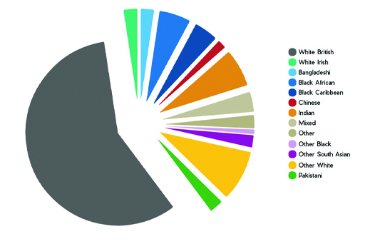 This is a pie chart with a number of categories included: White British; White Irish; Bangladeshi; Black African; Black Caribbean; Chinese; Indian; Mixed; Other; Other Black; Other South Asian; Other White; Pakistani. ‘White British’ has a large portion of the chart.
