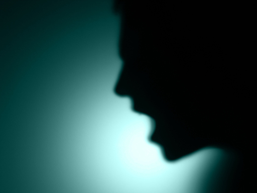This is a photograph is of a silhouette of a person shouting.