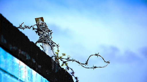 This is a photograph of a section of fence with barbed wire attached. There is blue sky in the background.