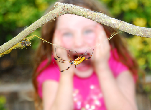 This is a photograph of a child screaming at the sight of a spider.