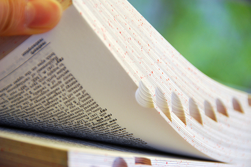 This is an image of a dictionary being flicked through.