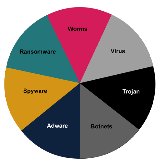 This is a pie chart with each segment representing a type of malware. These are: worms, virus, trojan, botnets, adware, spyware, ransomware.