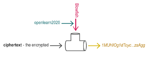 This diagram shows the information from Table 1 in visual form.