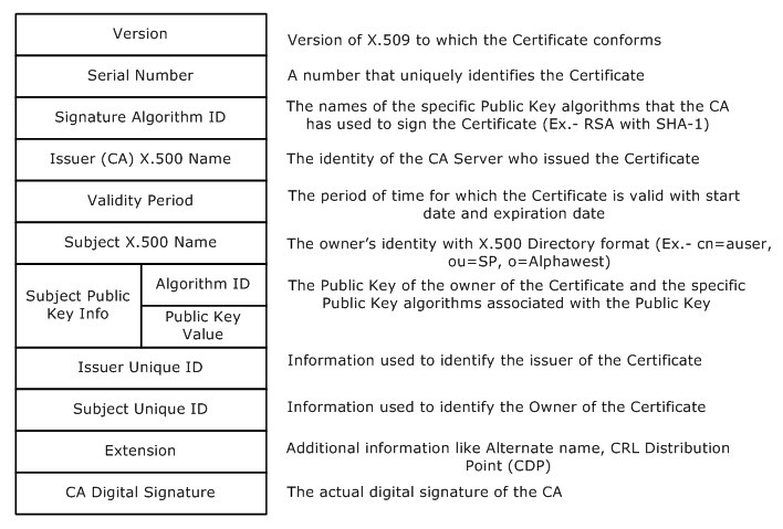 This is a grid containing information typical of a digital certificate.