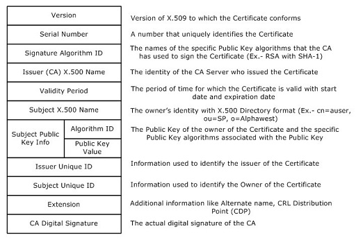 This is a grid containing information typical of a digital certificate.