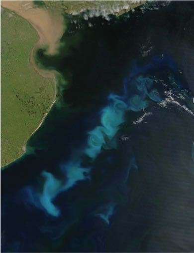 Figure 11 is a satellite image of a phytoplankton bloom, showing as cloudy pale patches against a much darker ocean background.