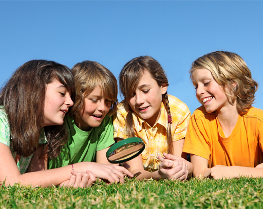 Photograph of four children side by side looking down at the grass through a magnifying glass.