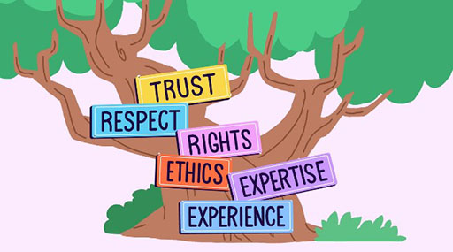 A graphic of a tree with six signs on it. From top to bottom, the signs read: TRUST, RESPECT, RIGHTS, ETHICS, EXPERTISE, EXPERIENCE.