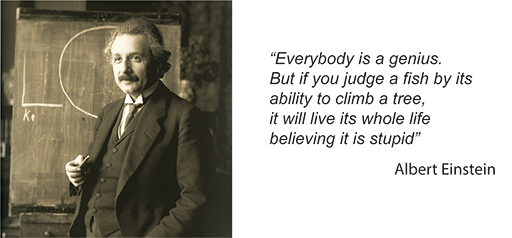 A photo of Albert Einstein with a quote by him next to it. The quote reads: ‘Everybody is a genius. But if you judge a fish by its ability to climb a tree, it will live its whole life believing it is stupid.’
