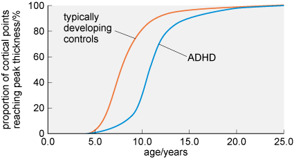 This shows a line graph with proportion of cortical points reaching peak thickness in percent on the y-axis and age in years (from 0 to 25) on the x-axis. The curve for typically developing controls rises steeply from zero to about 80% from five to ten years of age and then levels off, to reach 100% at about 20 years of age. The line for ADHD rises more slowly to around 30% at 10 years of age, then steeply to about 80% at around 15 years of age and more gradually to 100% by 25 years of age.