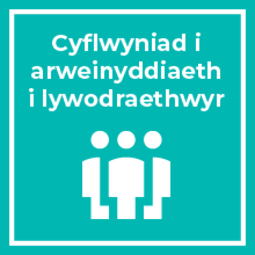 Cyflwyniad i arweinyddiaeth i lywodraethwyr (Cymru)