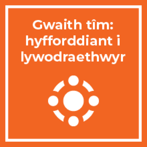 Gwaith Tîm: Hyfforddiant i Lywodraethwyr (Cymru)