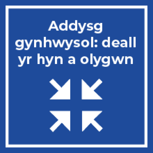 Addysg gynhwysol: deall yr hyn a olygwn (Cymru)