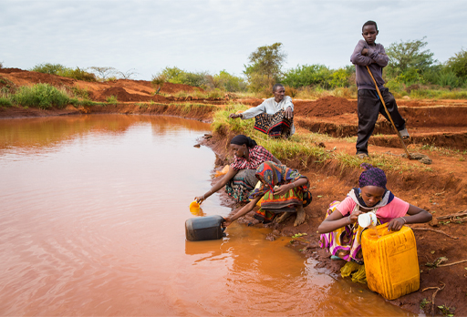 This is a photograph of a group of children collecting water from a dirty stream.