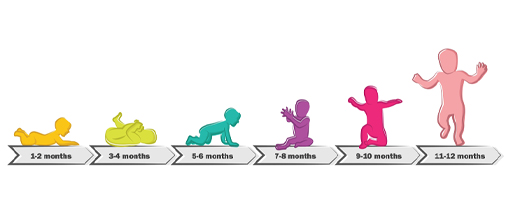 This is a graphic showing a child at different stages of life: 1–2 months; 3–4 months; 5–6 months; 7–8 months; 9–10 months and 11–12 months.