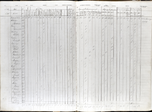 This is a photograph of a printed register, with entries filled in by hand. There is a list of names in the left-hand column, with ticks against various categories across the page.