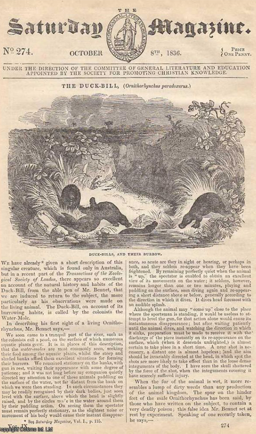 This photograph of The Saturday Magazine features the issue dated October 8th, 1836. On the front page is an article titled ‘The Duck-Bill’, illustrated with a sketch of five of the animals on the banks of a stream. The article includes a long extract from a piece about the platypus in the Transactions of the Zoological Society of London.