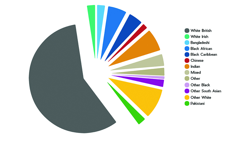 This is a pie chart with a number of categories included: White British; White Irish; Bangladeshi; Black African; Black Caribbean; Chinese; Indian; Mixed; Other; Other Black; Other South Asian; Other White; Pakistani. ‘White British’ has a large portion of the chart.