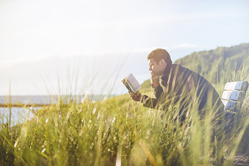 This image shows a person sat on a bench outside in a grassy field reading a book.