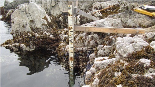 This photo shows a Tide Staff - a vertical ruler at the sea’s edge.