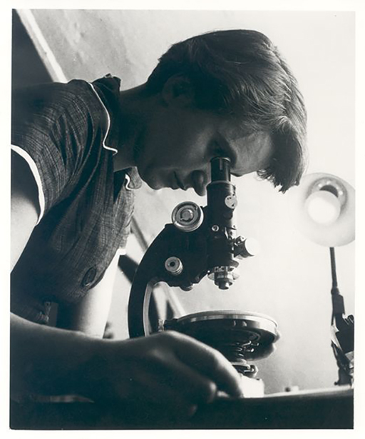This figure is a black and white photograph of Rosalind Franklin looking down a microscope.