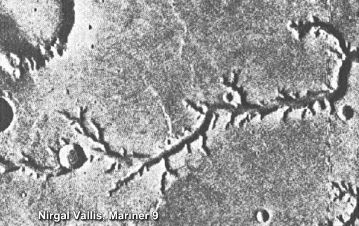 This figure shows a photograph of the martian surface taken from orbit by the spacecraft Mariner 9. It is in greyscale. A prominent feature is shown across the centre of the image from right to left, which looks like a branch. This is the valley network called Nirgal Vallis. Circular features are evident in several places on the image, which are impact craters.