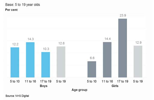 Two bar charts showing the age groups and sex of those with a reported disorder.