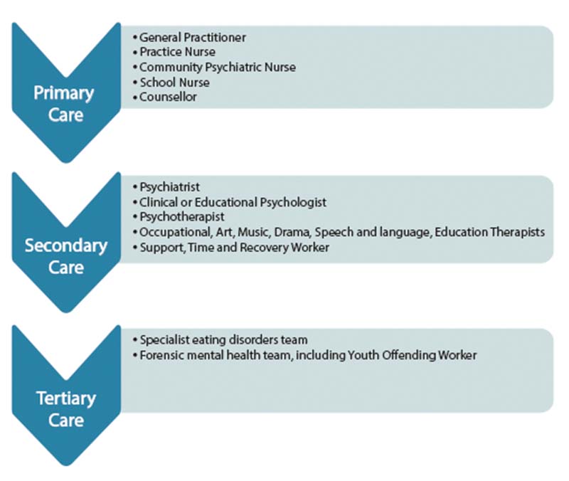 A diagram of three rows: primary care, secondary care and tertiary care.