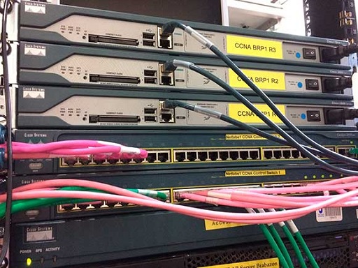 This is a photograph of plugged-in cables.